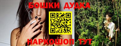 прущий лед Будённовск