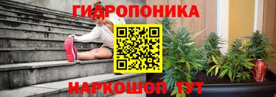 прущий лед Будённовск