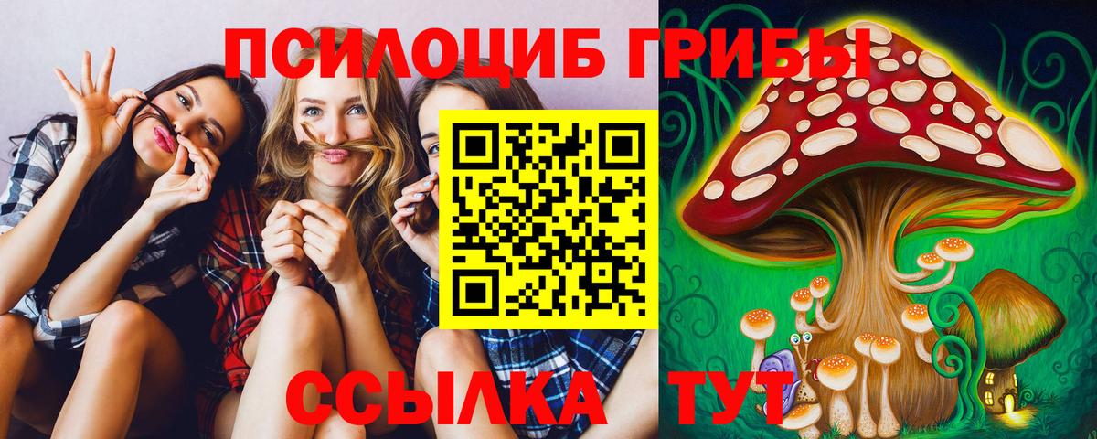 Галлюциногенные грибы ЛСД Ленинск-Кузнецкий